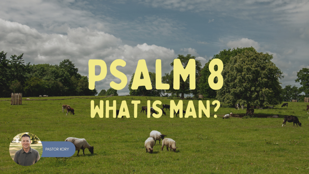 What is Man? | Psalms 8 Image
