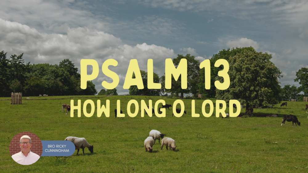 Psalm 13 | How Long O Lord Image