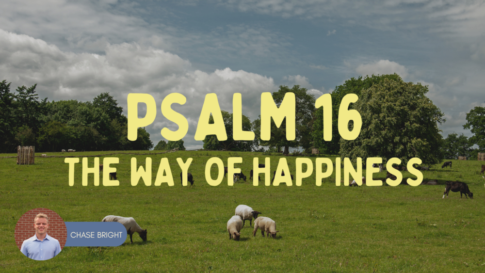 Psalm 16 | The Way of Happiness Image