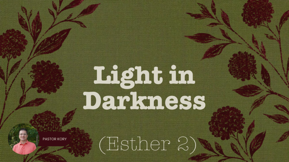 Esther 2 | Light in Darkness Image