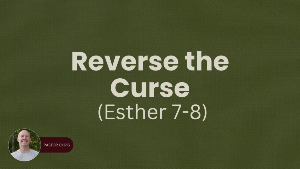 Reverse the Curse | Esther 7-8 Image